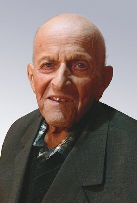 Friedrich Pieringer