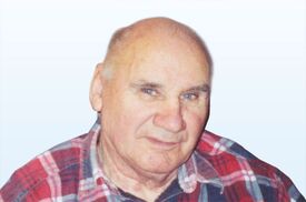 Alois Grubmüller