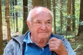 Georg Reichegger