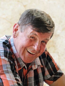 Wolfgang Sattlecker