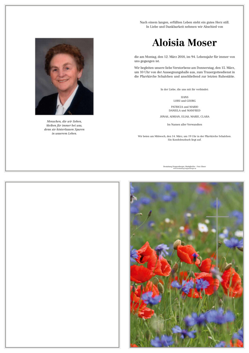 Parte PDF Vorschau