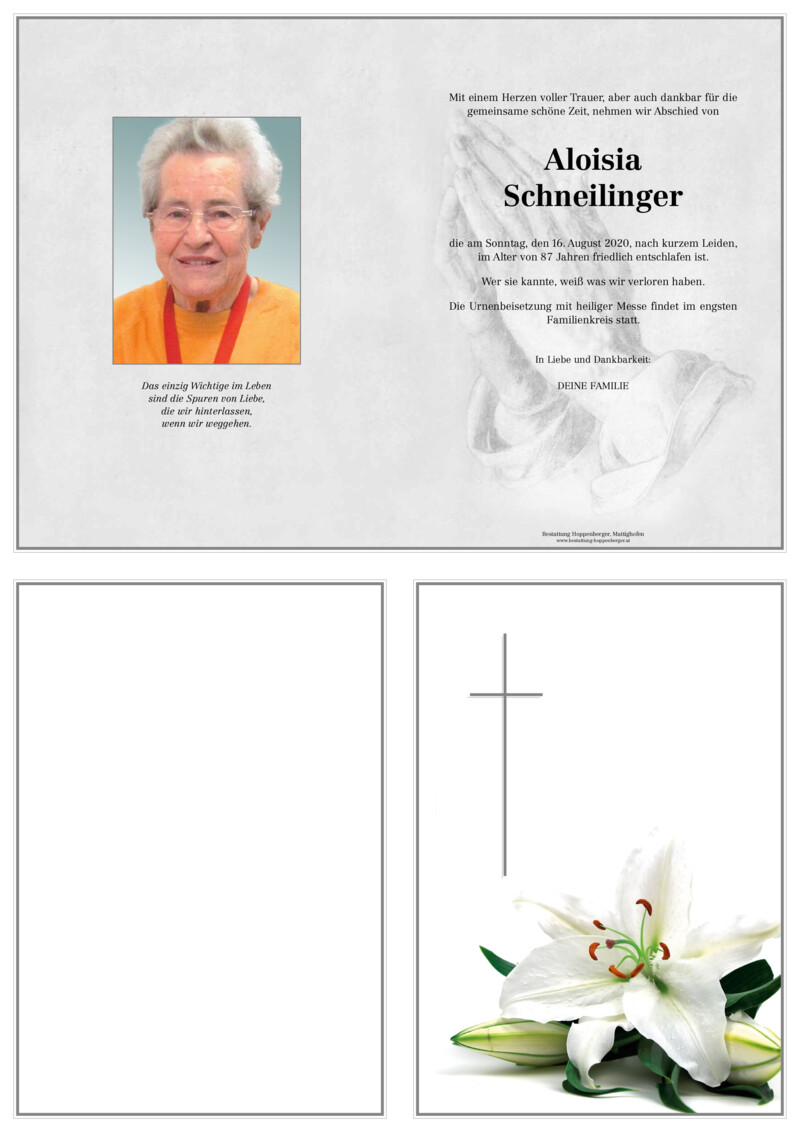 Parte PDF Vorschau